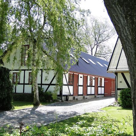 Dyssegaard B&B Skallerup Esterno foto
