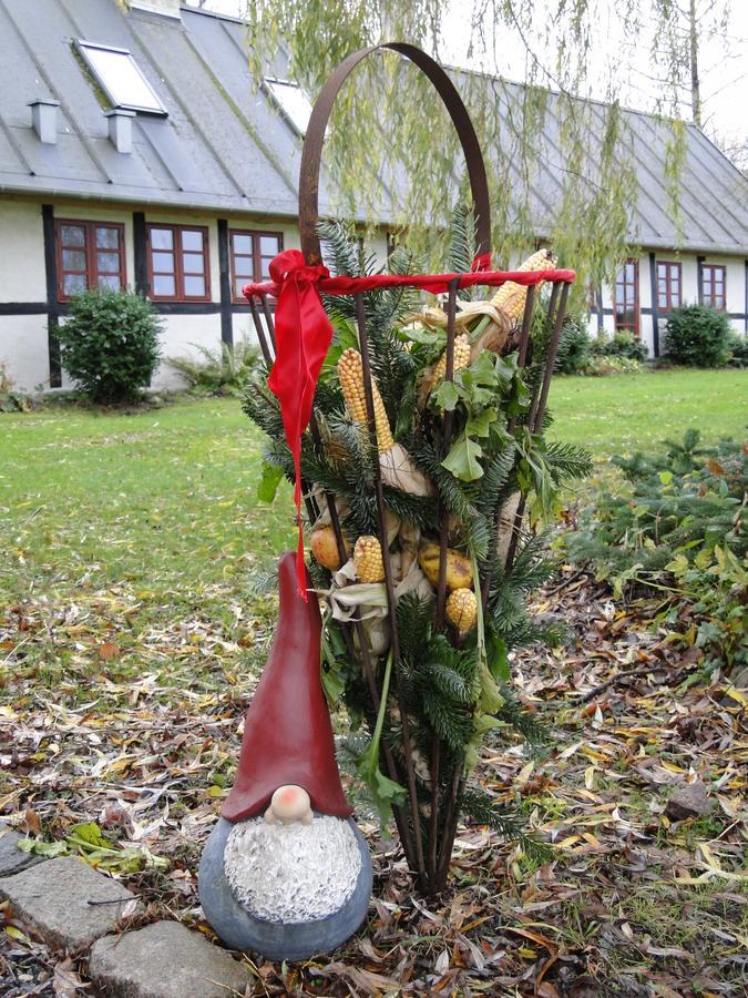 Dyssegaard B&B Skallerup Esterno foto