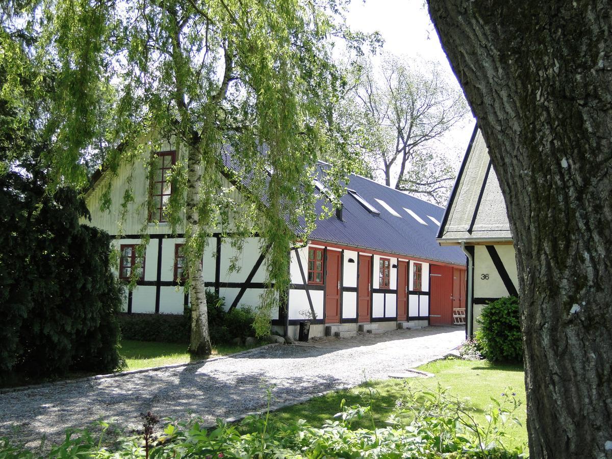 Dyssegaard B&B Skallerup Esterno foto
