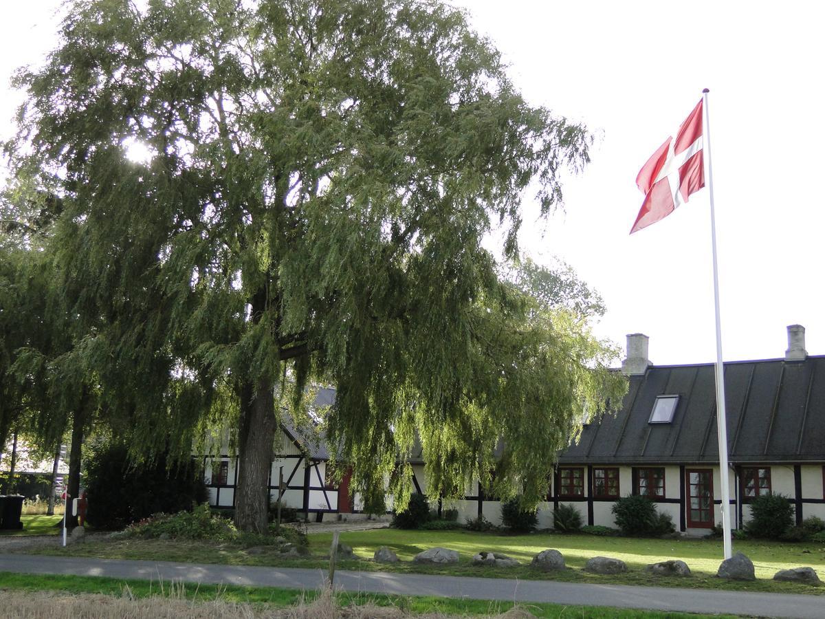 Dyssegaard B&B Skallerup Esterno foto